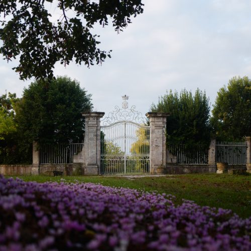 Château_Larrivaux