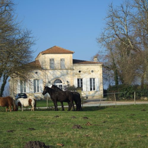Château_de_cach1